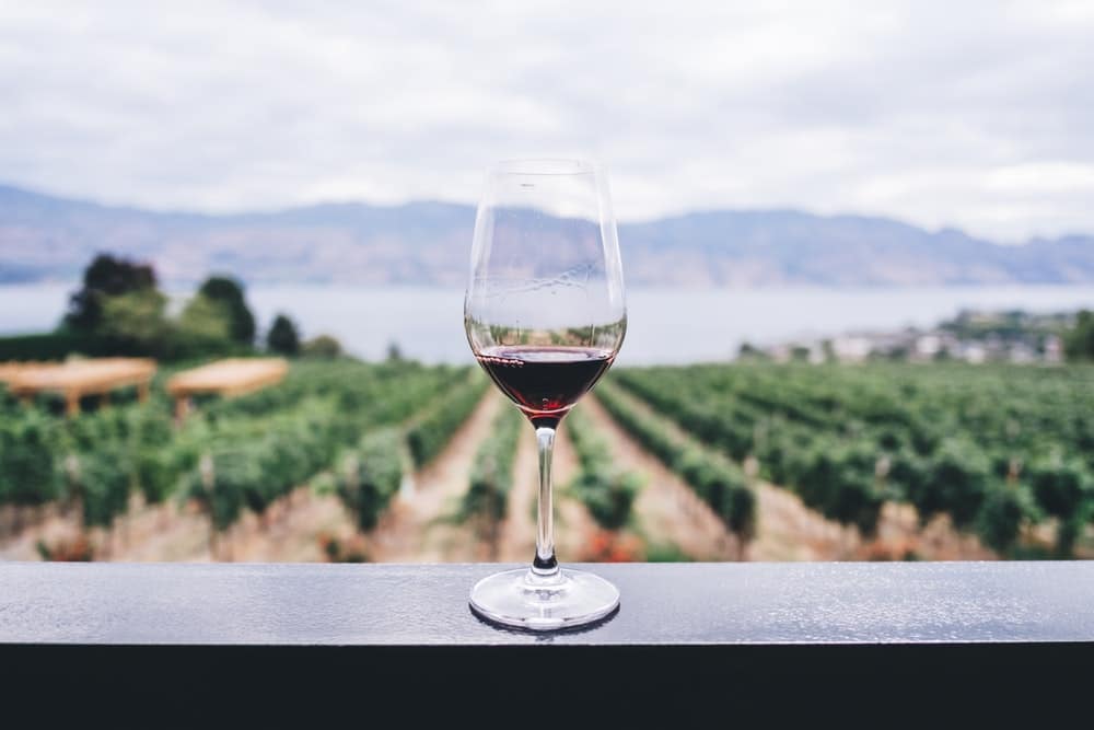 wine at a vineyard